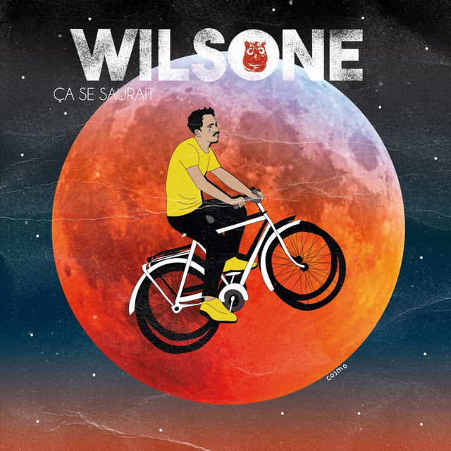 Ça se saurait - Single by Wilsone | Spotify