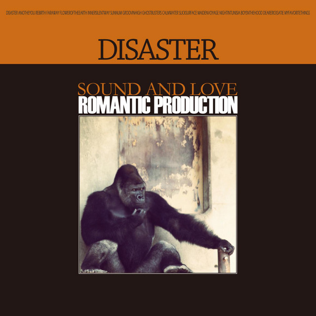 DISASTER cover art