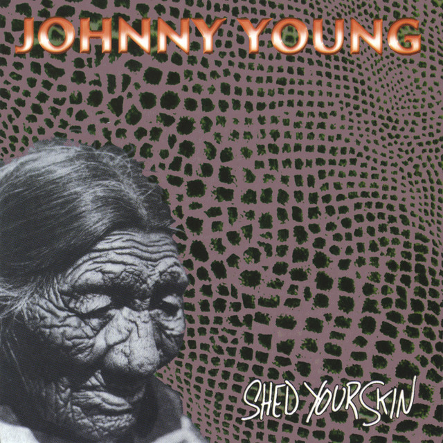Shed Your Skin cover art