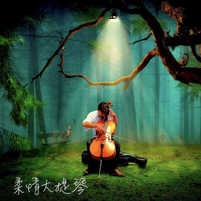 柔情大提琴 cover art