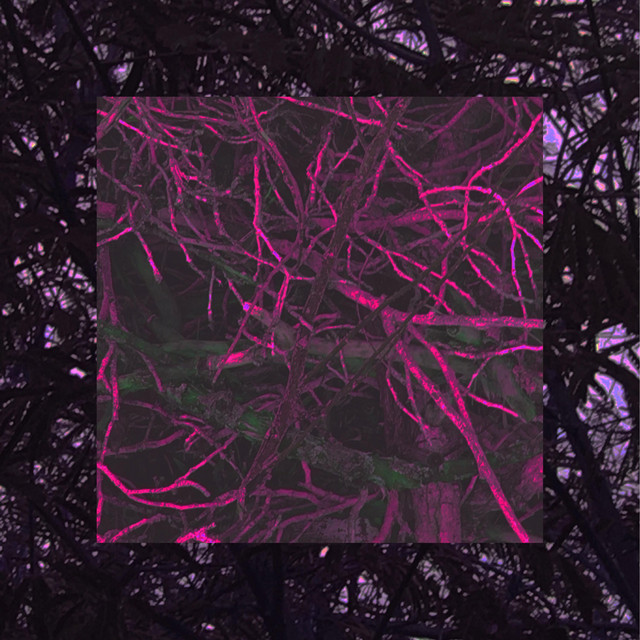 my gradesare going to suck (: cover art
