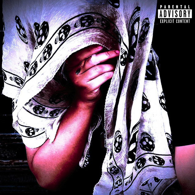 DIENASTY cover art