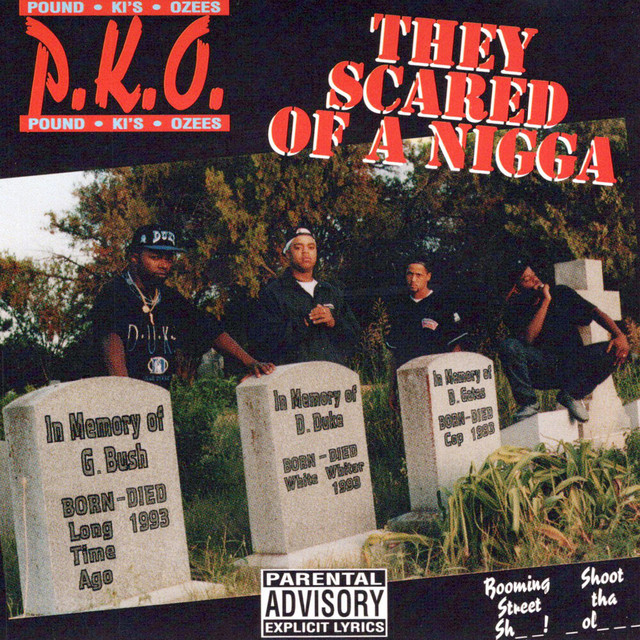 They Scared Of A Nigga cover art