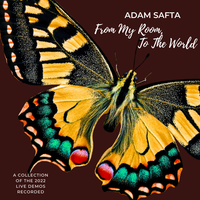 From My Room, To The World: The 2022 Collection Of Live Demos by Adam ...