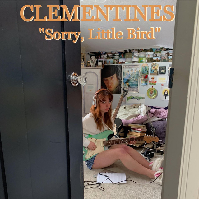 Sorry, Little Bird - Demo