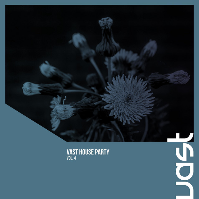 VAST House Party, Vol. 4 cover art