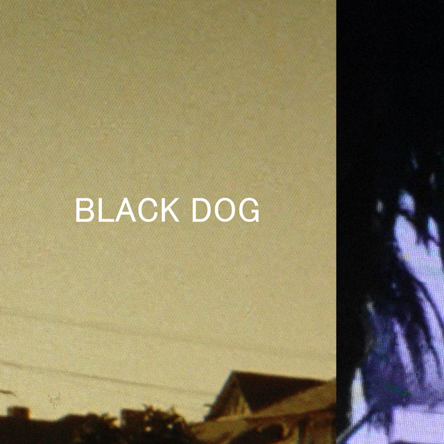 Black Dog cover art