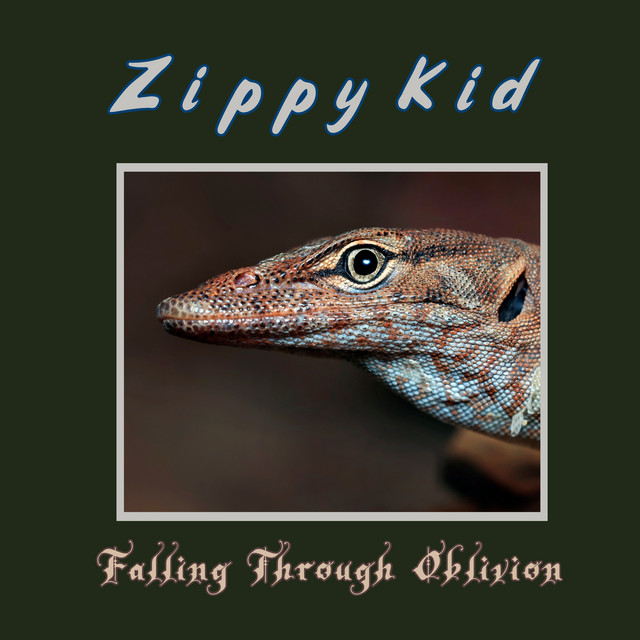 Обкладинка Zippy Kid — Falling Through Oblivion