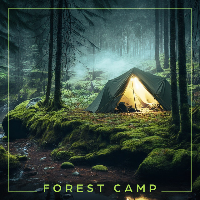 Forest Camp - Sound Compositions Of Nature From The Middle Of The Wilderness cover art