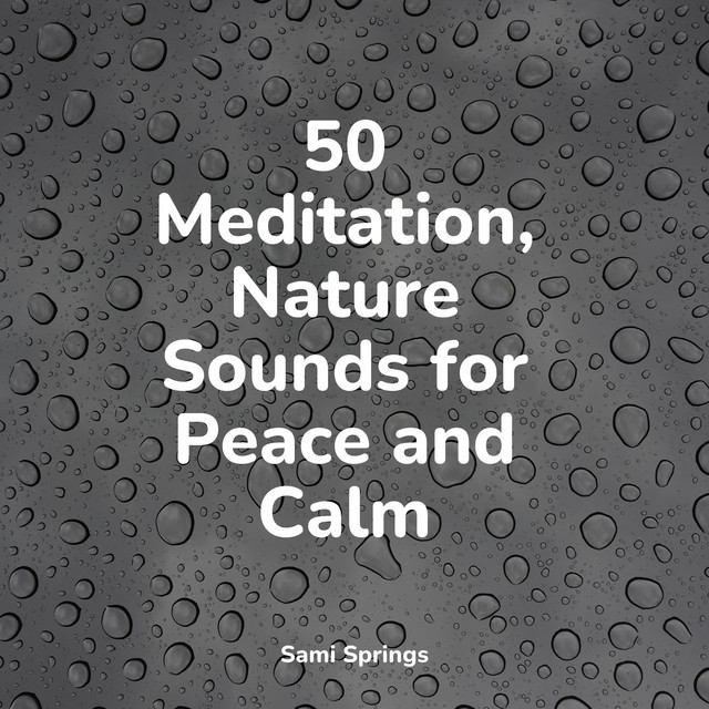 50 Meditation, Nature Sounds for Peace and Calm - Album by Kings of ...
