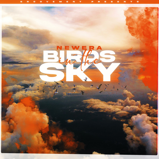 Birds In The Sky (Protein Bor Remix) cover art