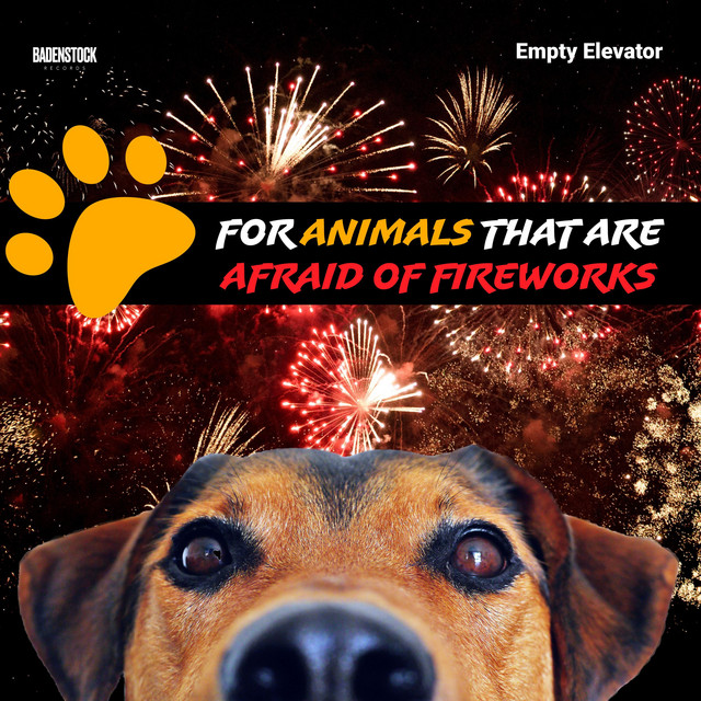 For Animals That Are Afraid of Fireworks cover art