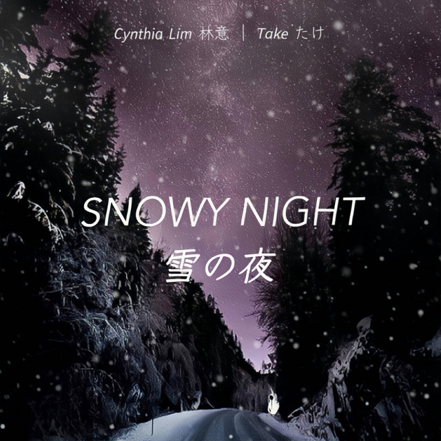 Snowy Night