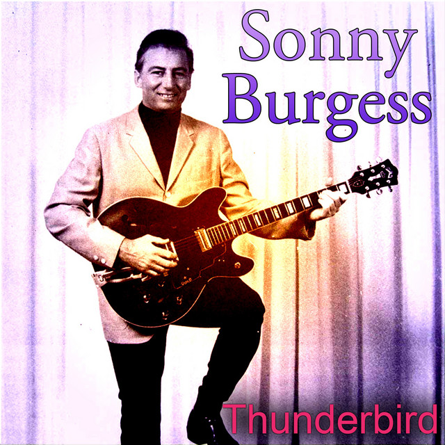 Thunderbird cover art