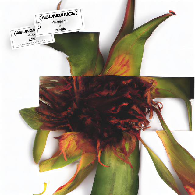 imagic cover art