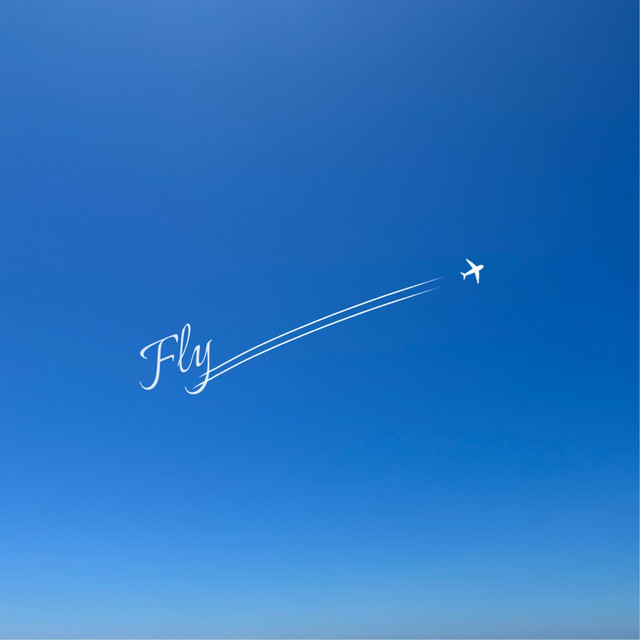 Fly