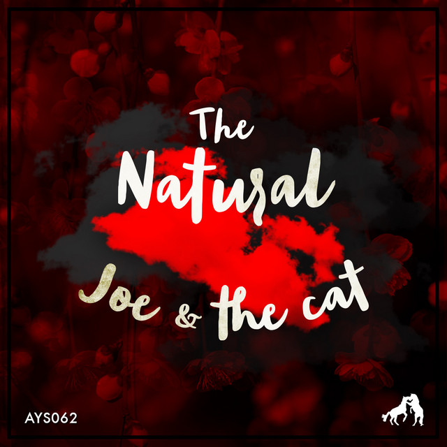 Joe and the Cat cover art