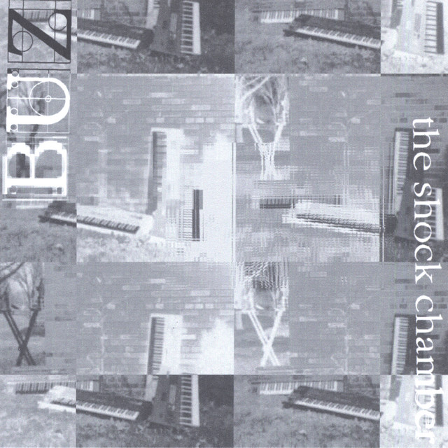 The Shock Chamber cover