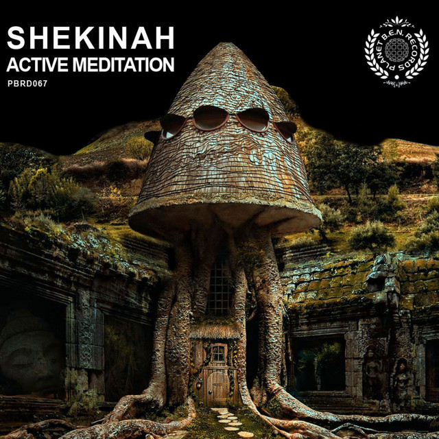 Active Meditation cover art