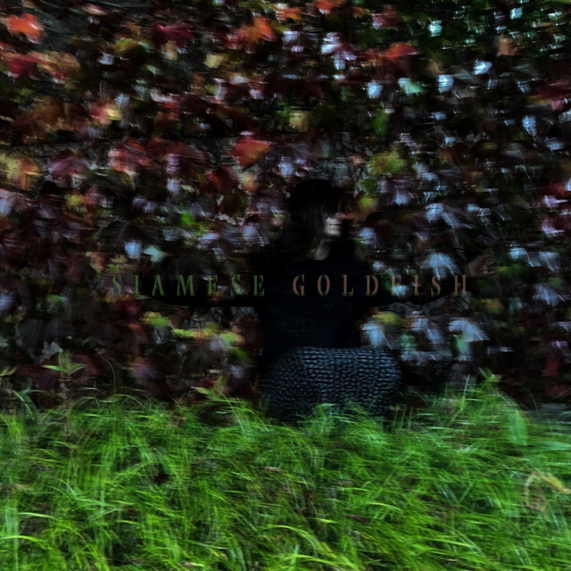 We Saw The Floodlights cover art