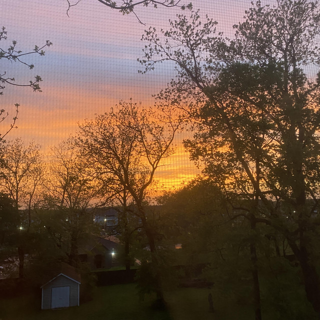 FOR YOU cover art