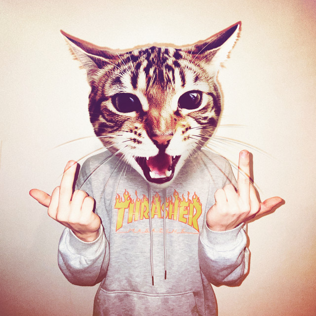 DJ One Hit