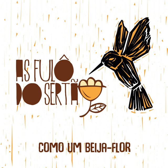 Como um Beija-Flor cover art