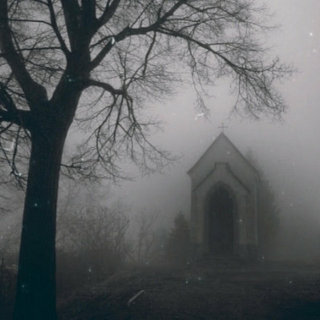 Funeral in the Forest 2 cover art