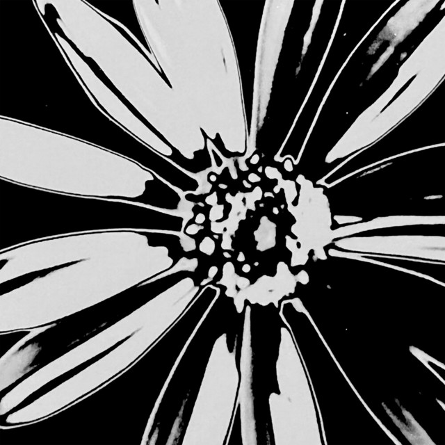 Spring Riot album image
