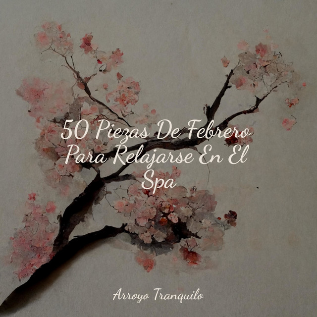 50 Piezas De Febrero Para Relajarse En El Spa cover art