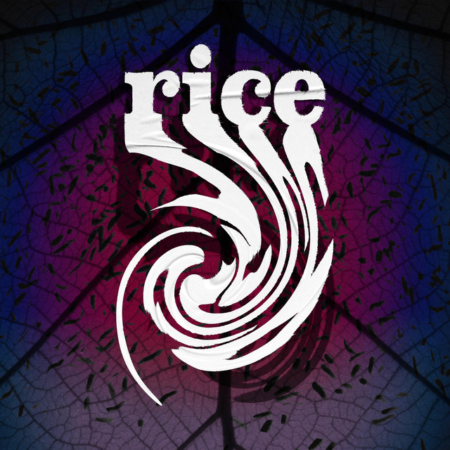 Rice | Spotify