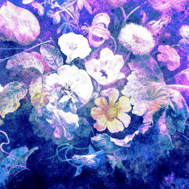 Jardim Das Cores Brilhantes cover art