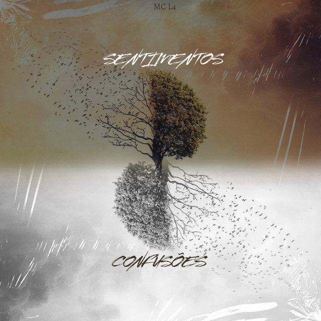Sentimentos & Confusões