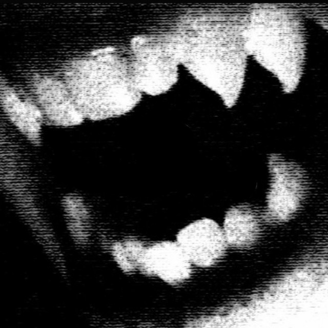 Vamp Hours cover art