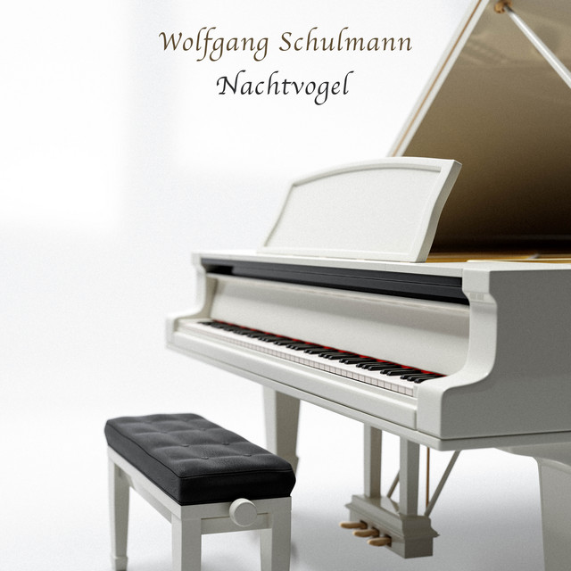 Nachtvogel cover