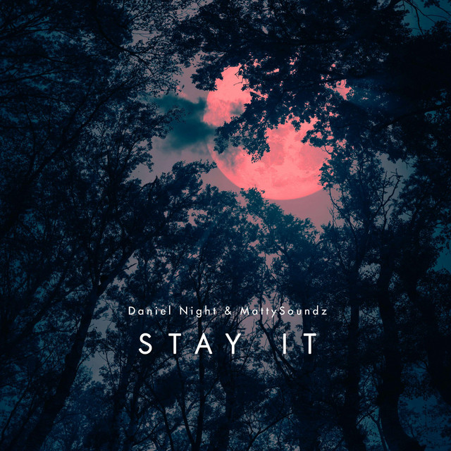 Stay It - Radio Edit