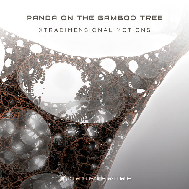 Panda On The Bamboo Tree Photo