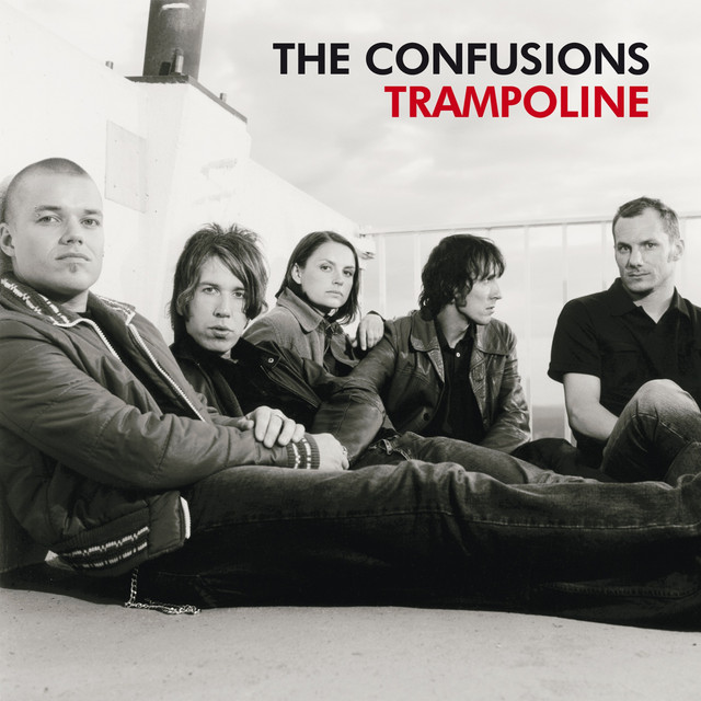 Trampoline cover art