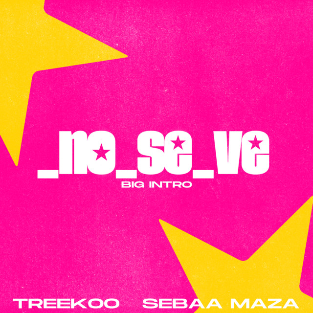 No Se Ve (Big Intro) - Remix
