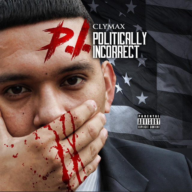 PI: Politically Incorrect cover art