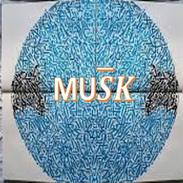 Musk