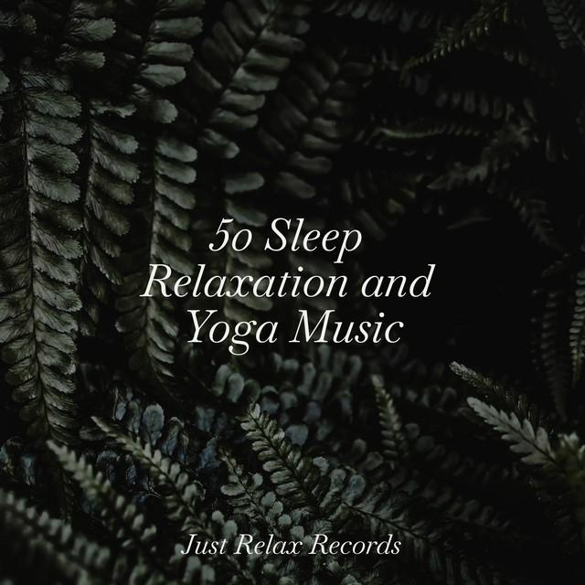 50 Sleep Relaxation and Yoga Music - Album by Happy Baby Lullaby ...