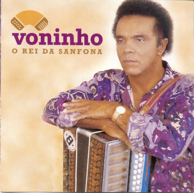O Rei da Sanfona cover art