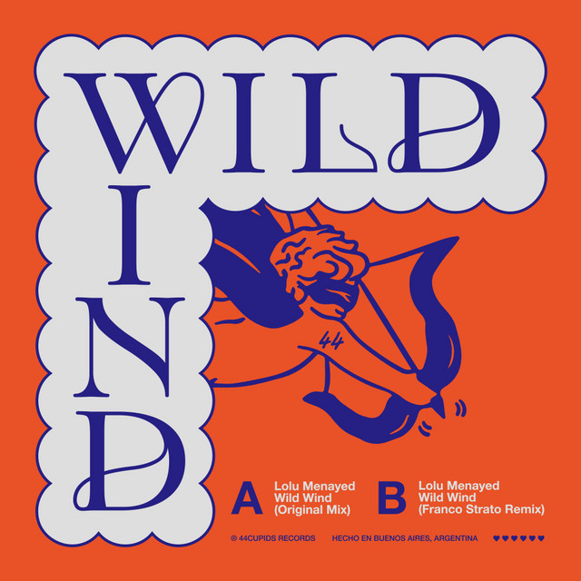 Wild Wind album art