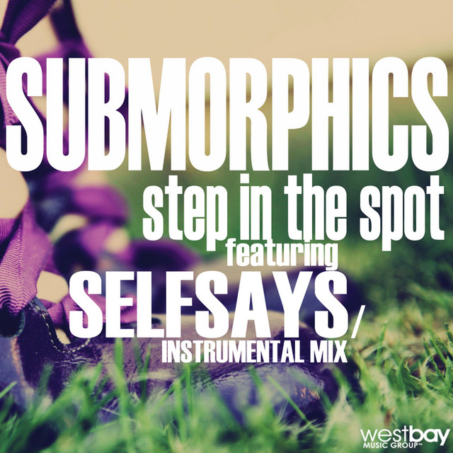 Step in the Spot artwork