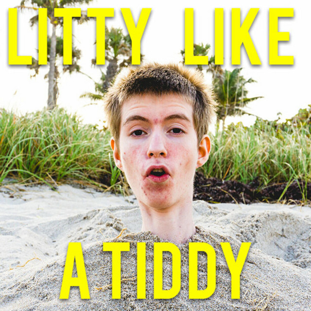 Litty Like a Tiddy cover