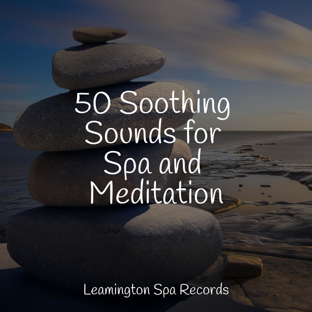 50 Soothing Sounds for Spa and Meditation - Album by White Noise Sound ...