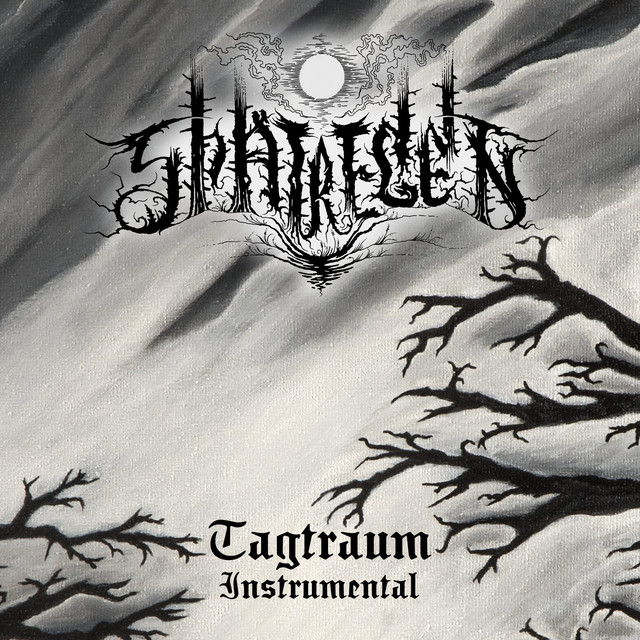 Tagtraum (Instrumental) cover
