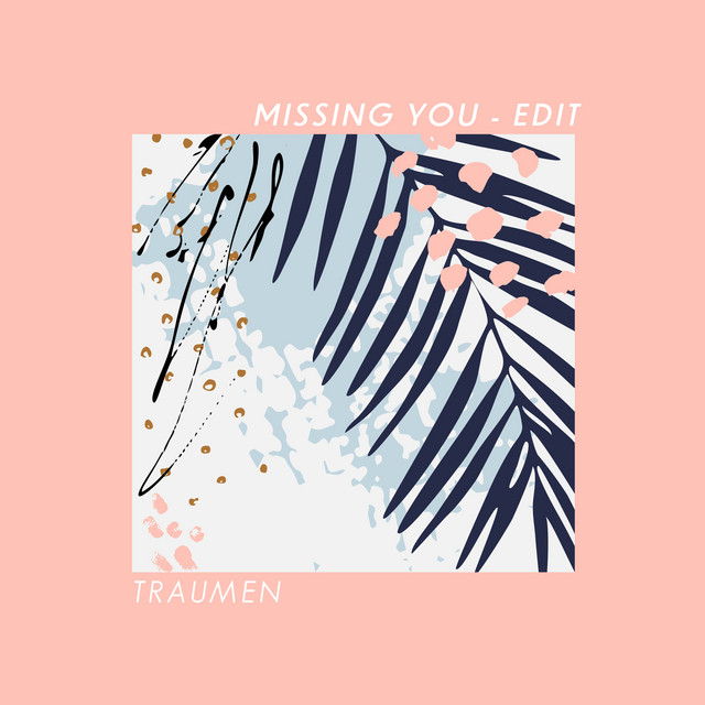 Missing You (Edit) cover art
