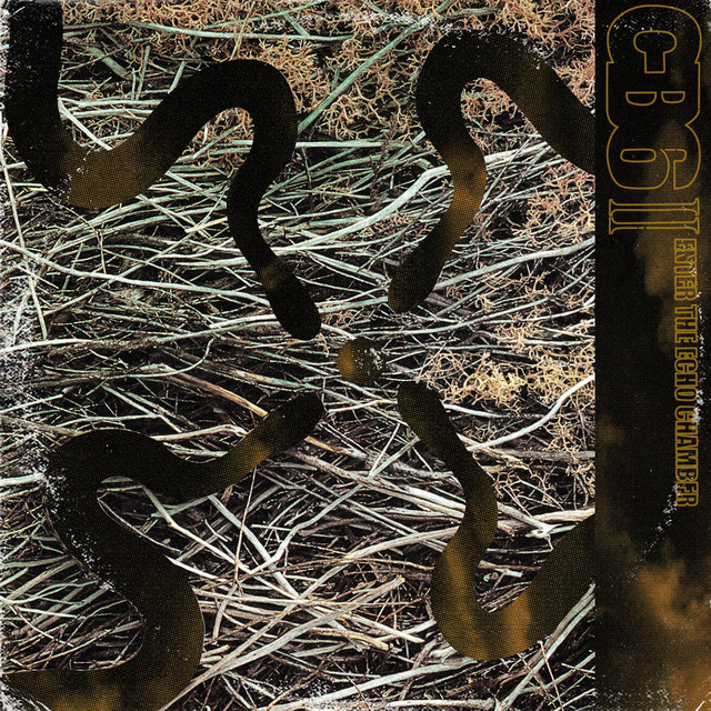 II Enter the Echo Chamber cover art